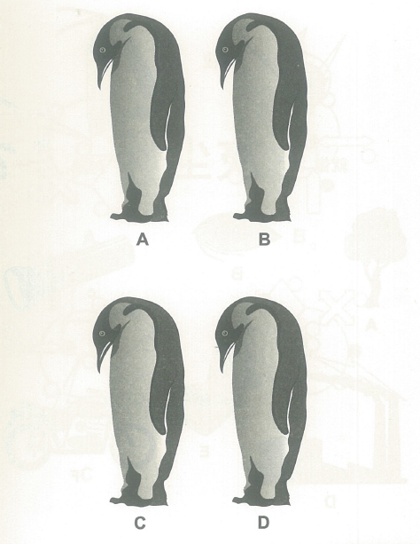 Interesting IQ Test Picture(4): Find the different penguin quickly