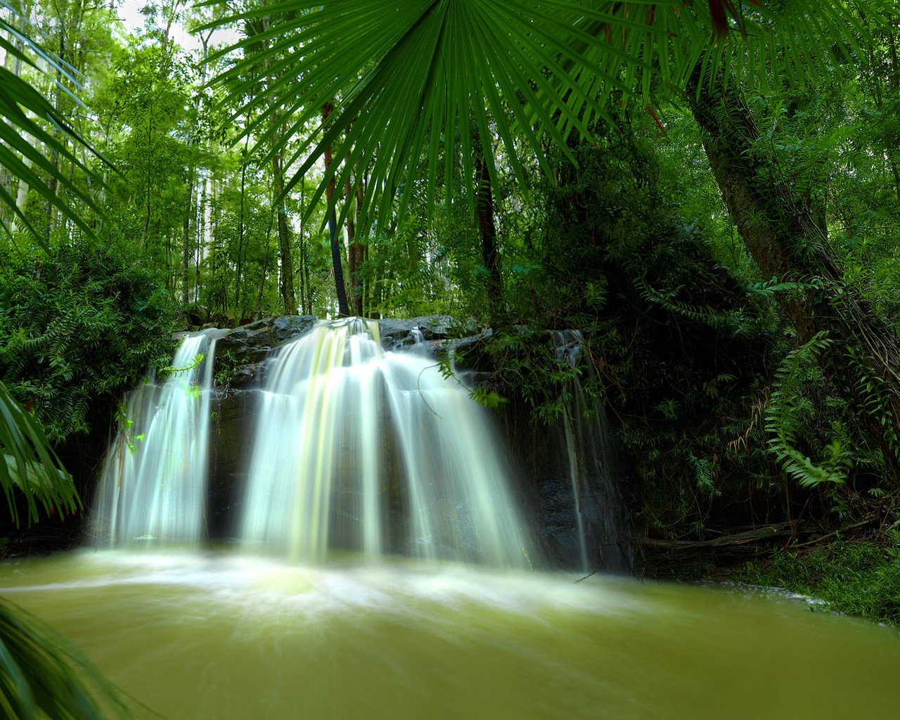 2015 HD Eye Protection Wallpaper 12 waterfall in forest Free Wallpaper World