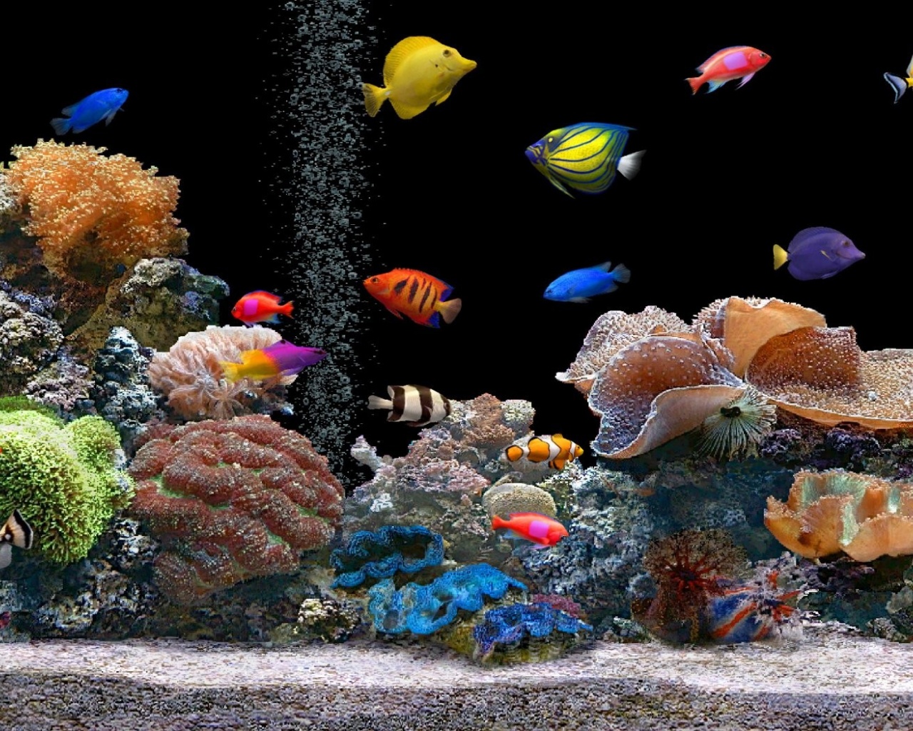 Free Images of Underwater World, Colorful Fishes Among Various Sea Plants, a Clean World! 1280X1024 free wallpaper download