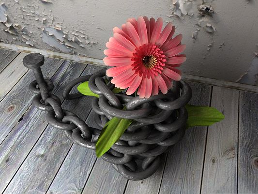 click to free download the wallpaper--3D Red Flower, Beautiful Flower with Thick Chain, Can Go Nowhere