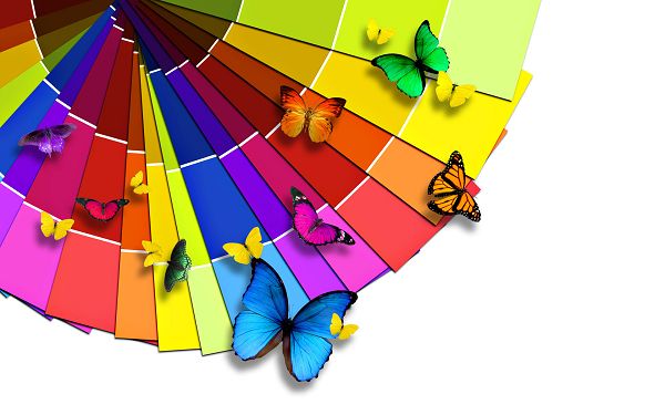 click to free download the wallpaper--A Set of Colorful Papers in a Circle, They Are Attractive in the Butterflies' Eyes, Unwilling to Leave - HD Creative Wallpaper
