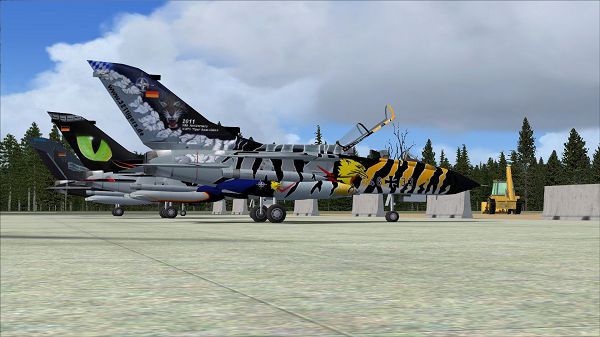 click to free download the wallpaper--Air Show Paris, AMI German Air Force Tornado on the Ground