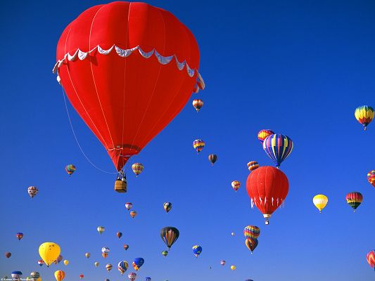 click to free download the wallpaper--Albuquerque International Balloon Fiesta HD Post in Pixel of 1600x1200, Colorful Balloon All in the Fly, They Look Beautiful - TV & Movies Post