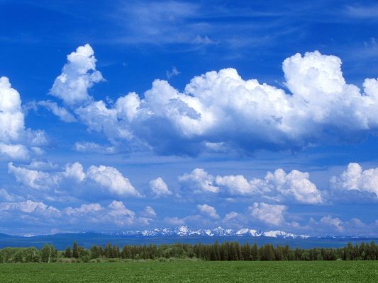click to free download the wallpaper--Amazing Landscape of Nature, the Incredibly Blue Sky, Green Plants Beneath