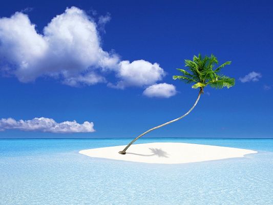 click to free download the wallpaper--Amazing Pic of Nature Landscape, Palm Tree on an Island, the Blue and Peaceful Sea