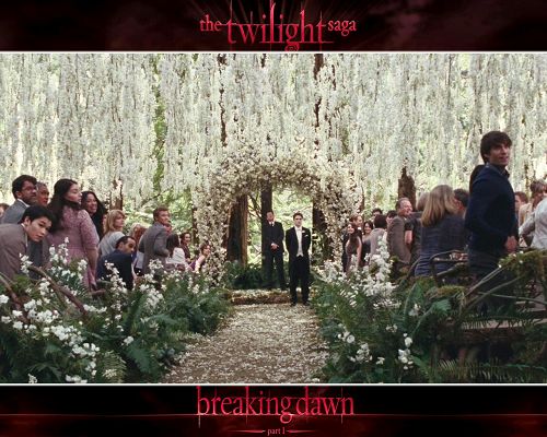 click to free download the wallpaper--Amazing TV Show Pics, Bella the Bride is Coming, Edward Awaiting