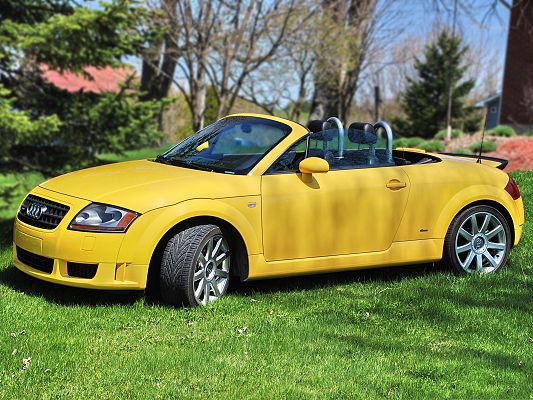 click to free download the wallpaper--Audi Car Wallpaper, Yellow Moril Original in the Stop, on Green Grass