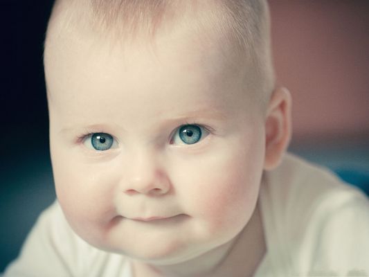 click to free download the wallpaper--Baby Boy Images, Blue Eyes and Snowy White Skin, the Cute New Comer