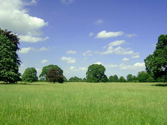 click to free download the wallpaper--Beautiful Image of Nature Landscape, Green Scene, the Blue and Cloudless Sky