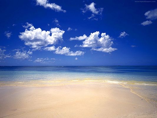 click to free download the wallpaper--Beautiful Image of Nature Landscape, Pure Beach Under the Blue Sky, Fresh and Clean Scene