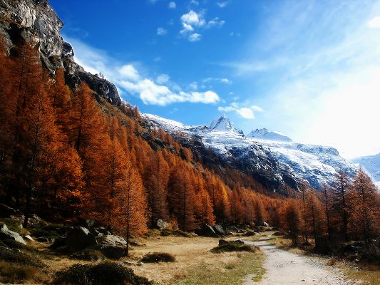 click to free download the wallpaper--Beautiful Nature Landscape Image, Rusty Forest, Snow-Capped Mountains, the Blue Sky