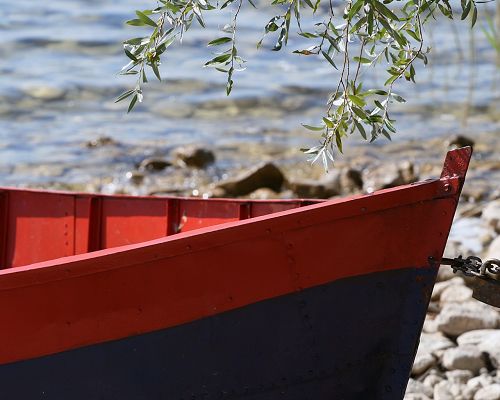 click to free download the wallpaper--Beautiful Photo of Nature Landscape, an Old Boat, Willows Around to Touch, Incredible Look
