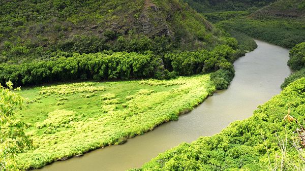 click to free download the wallpaper--Beautiful Scenes of Nature - A Full Eye of Green Scene, a Narrow River Flowing in the Middle, Lively and Lovely Scene