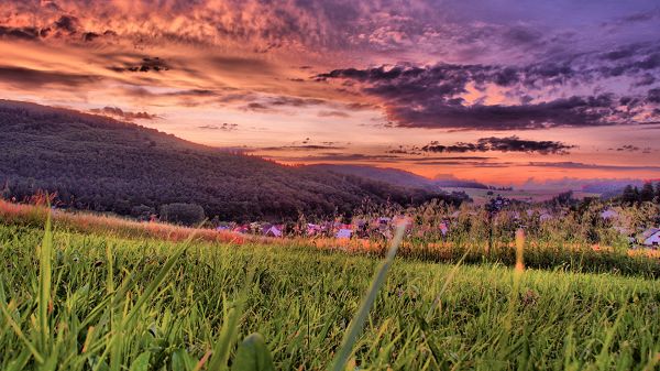 click to free download the wallpaper--Beautiful Scenes of Nature - Green Grass Under the Pink Sky, Making One Feel Romantic and Beloved