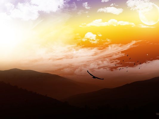 click to free download the wallpaper--Beautiful Scenes of Nature, a Group of Flying Birds in the Golden Sky, Looking Good Together