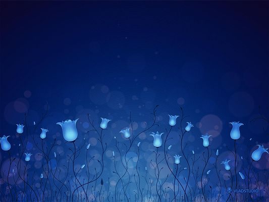 click to free download the wallpaper--Blue Lighting Flowers HD Post in Pixel of 1600x1200, All Blue Flowers Swinging, It is Quiet Evening Scene - TV & Movies Post