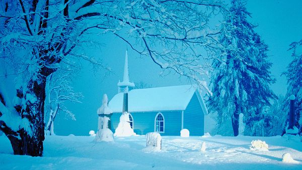 click to free download the wallpaper---Blue and Crystal House Combined with Tall Trees and Snowy Scene, It Looks Amazing Overall - HD Winter Natural Scenery Wallpaper