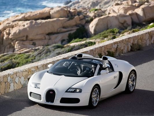 click to free download the wallpaper--Bugatti Veyron Cabrio Wallpaper, White and Super Car in the Drive, Prepared Gentleman