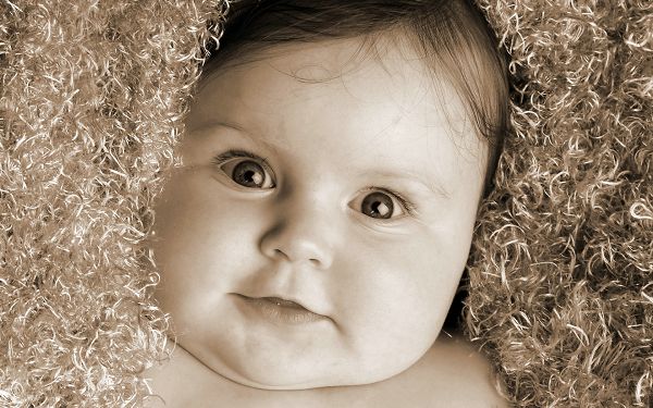click to free download the wallpaper---Chubby Baby Staring at You, Eyes Wide Open, Bed is Thick and Silk, Will Stay Awake for Long - Chubby Baby Wallpaper