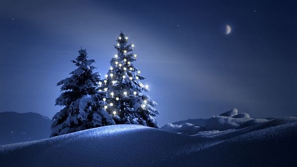 click to free download the wallpaper---Cold and Silent Winter Evening, Lights on the Tree Shall Warm the Heart Up, Very Impressive Scene - HD Natural Scenery Wallpaper