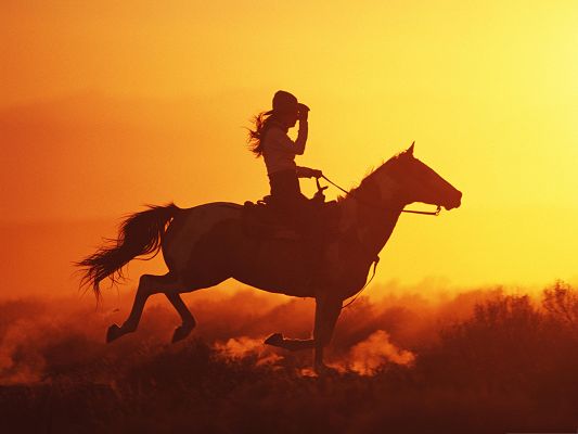click to free download the wallpaper--Cool Girls Picture, Girl On Horse, Running in the Golden Sky