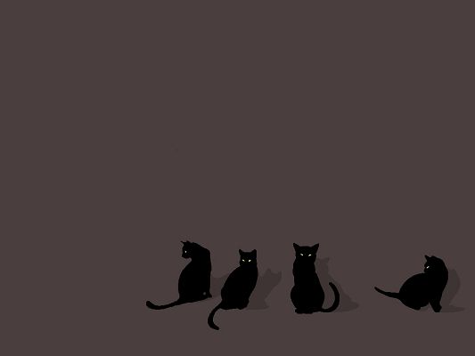 Cute Animals Wallpaper, 4 Black Cats, Green Eyesight, Simple and Impressive
