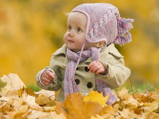 click to free download the wallpaper--Cute Baby Image, Adorable Baby Outdoor, Surrounded by Brown Leaves
