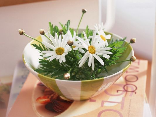 click to free download the wallpaper--Floral Art Design, White Flowers in Yellow Bowl, Amazing Look