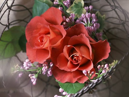 click to free download the wallpaper--Floral Art, Red and Pink Flowers, Smile in Bloom, Amazing Look