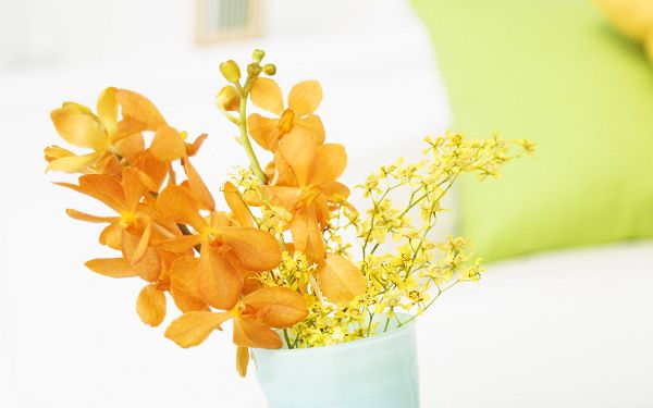 click to free download the wallpaper--Flower Art Photos, Sweet Orange Flowers, Interior Scene