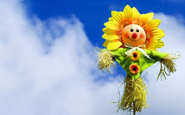 click to free download the wallpaper--Flower In the Sky in 1920x1200 Pixel, Smiling Flower Even When Left Alone, Optimistic Enough, Just Imitate Her - HD Natural Scenery Wallpaper