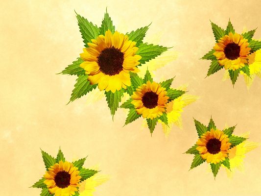 click to free download the wallpaper--Flying Sunflowers Picture, Yellow Sunflowers on Green Leaves, Amazing Look