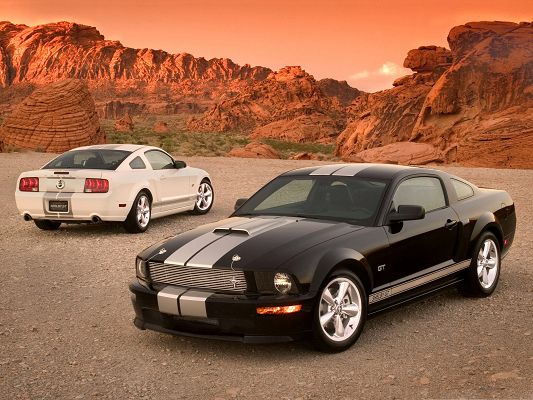 click to free download the wallpaper--Ford Shelby GT Cars Wallpaper, Two Great Cars Among Nature Landscape
