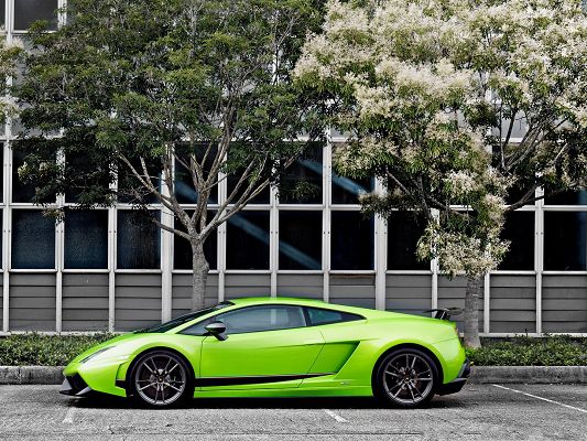 click to free download the wallpaper--Free Cars Wallpaper, 2013 Green Lamborghini Gallardo, Stays Outdoor