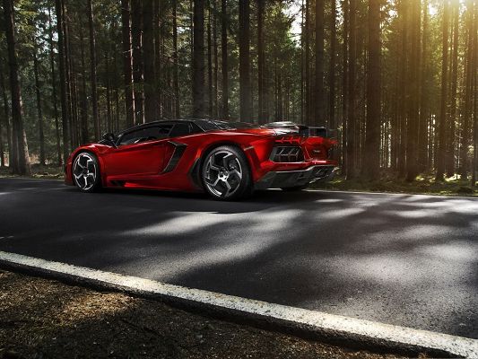 click to free download the wallpaper--Free Cars Wallpaper, Lamborghini Aventador Under the Shade of Shinning Forest