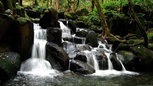 click to free download the wallpaper--Free Download Natural Scenery Picture - A Big Waterfall Passing Through Black Stones, a Small Swimming Pool is Created