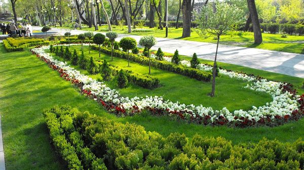 Free Download Natural Scenery Picture - A Clean Park, Colorful Flowers in Bloom, Amazing to Walk Here