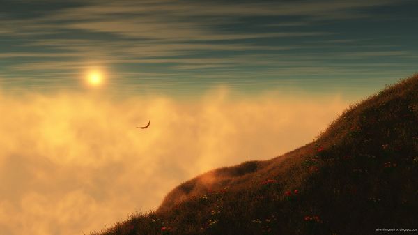 click to free download the wallpaper--Free Download Natural Scenery Picture - A Flying Bird in the Misty Sky, Red Flowers on Hillside, Looking Great
