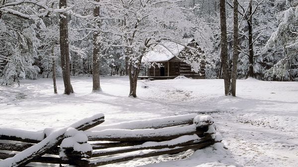 click to free download the wallpaper--Free Download Natural Scenery Picture - A Heavy Snow, the House, Trees and Woods All in Thick White Clothes, Great Scene