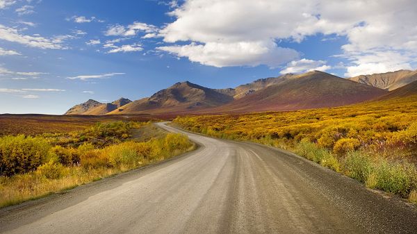 click to free download the wallpaper--Free Download Natural Scenery Picture - A Winding and Clean Road, Various Plants Alongside, the Blue Sky