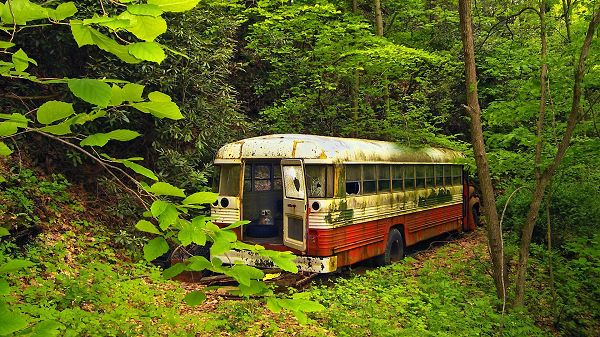 click to free download the wallpaper--Free Download Natural Scenery Picture - An Old and Worn-Out Bus Among the Green Plants, It Won't Go to the Road