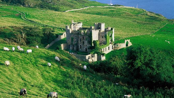 click to free download the wallpaper--Free Download Natural Scenery Picture - Sheep Are Lowering to Have Green Grass, a Castle in the Middle