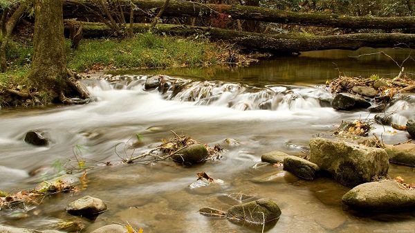 click to free download the wallpaper--Free Download Natural Scenery Picture - The Clear River in Rapid Flow, Stubborn Stones in the Middle
