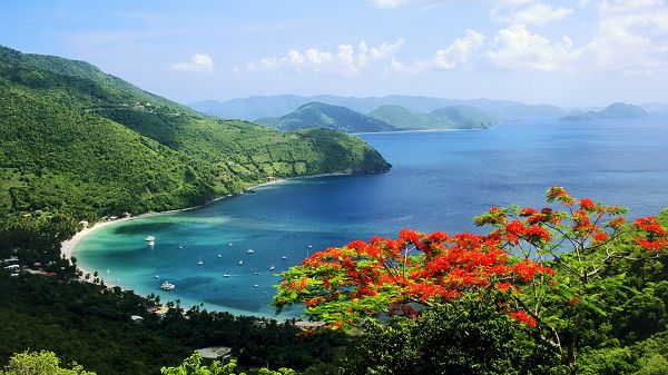 click to free download the wallpaper--Free Download Natural Scenery Picture - The Peaceful and Blue Sea, Red Blooming Flowers on One Side, Great Scene