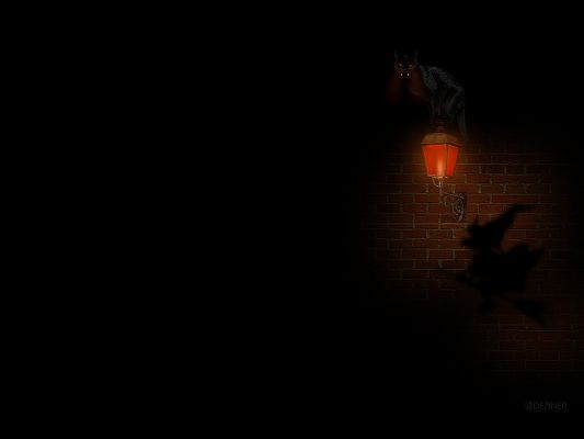 click to free download the wallpaper--Free Post of Games, Angry Cat Around a Lamphouse, Dark Scene, Impressive in Look