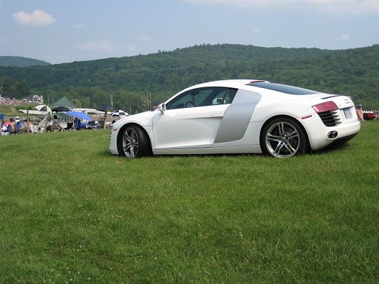 click to free download the wallpaper--Free Super Cars Image, Audi R8 on Green Grass, Smooth Lines, Strike Quite an Impression