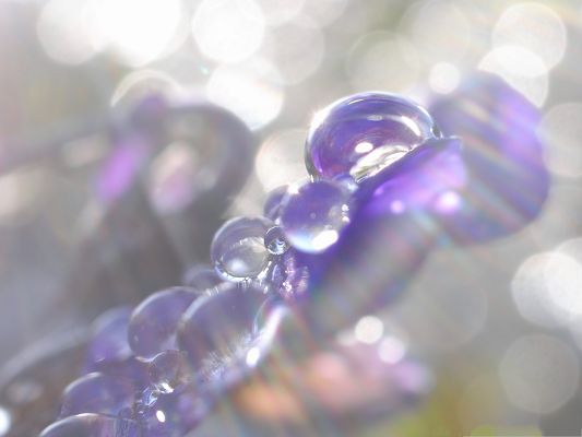 click to free download the wallpaper--Free Wallpaper Background, Crystal Clear Waterdrops Under Sunlight, Shinning Look