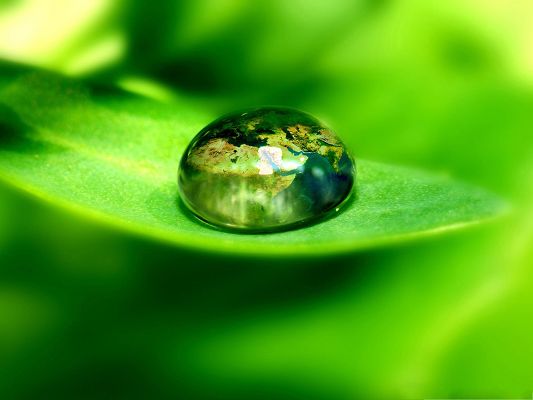 click to free download the wallpaper--Free Wallpaper Background, World On a Green Leaf, Great Reflection