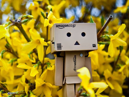 click to free download the wallpaper--Free Wallpaper Backgrounds, Danbo Among Spring Flowers, Amazed by the Nature Landscape