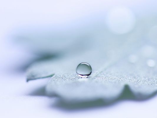 click to free download the wallpaper--Free Wallpaper Backgrounds - Rounded and Crystal Clear Waterdrop